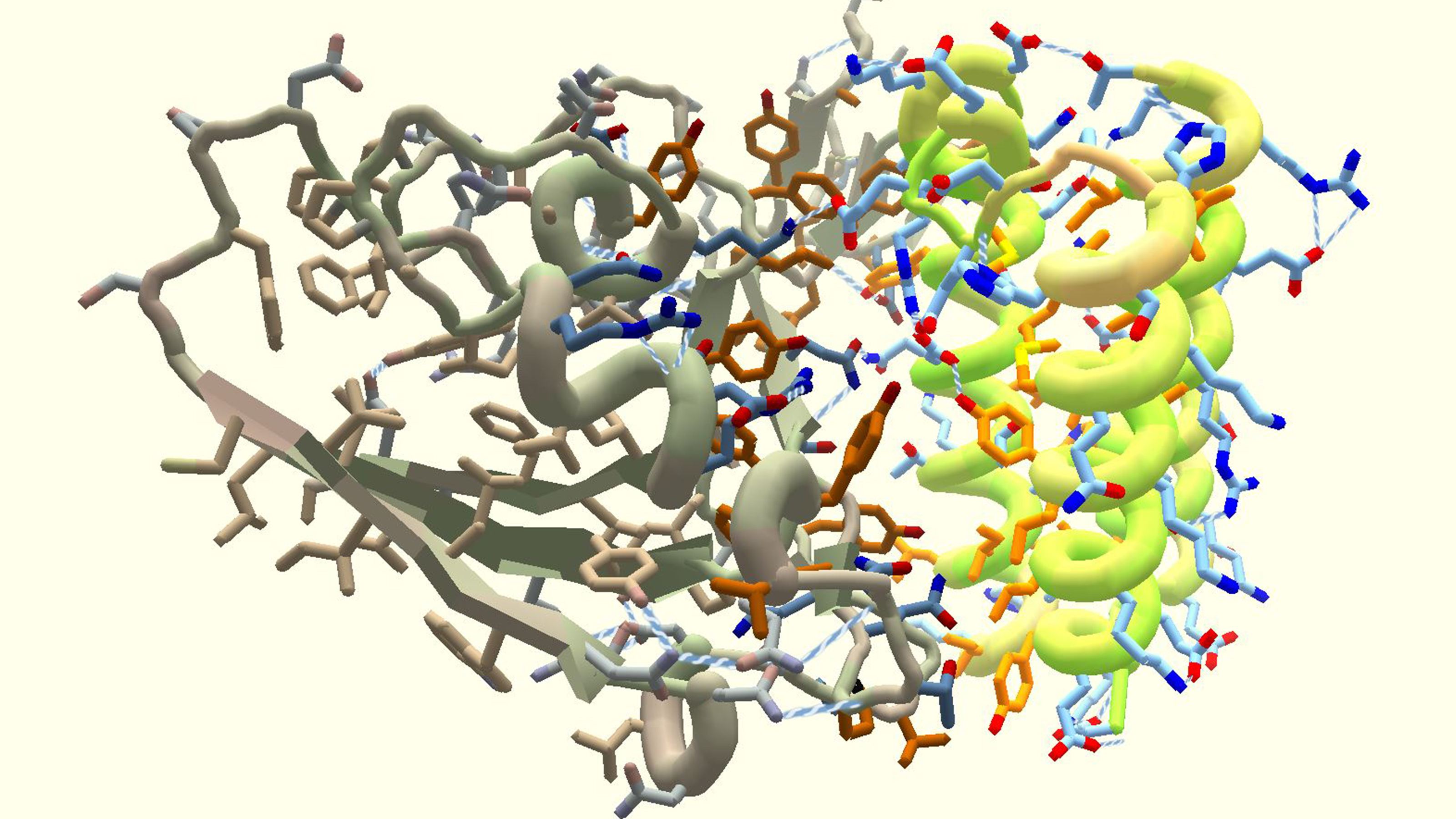 antiviral medications