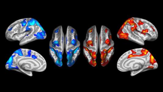 how to heal the brain