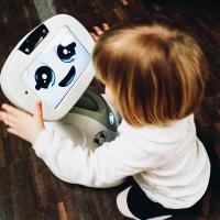 Companion robots