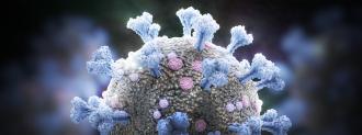 Coronavirus Antibody