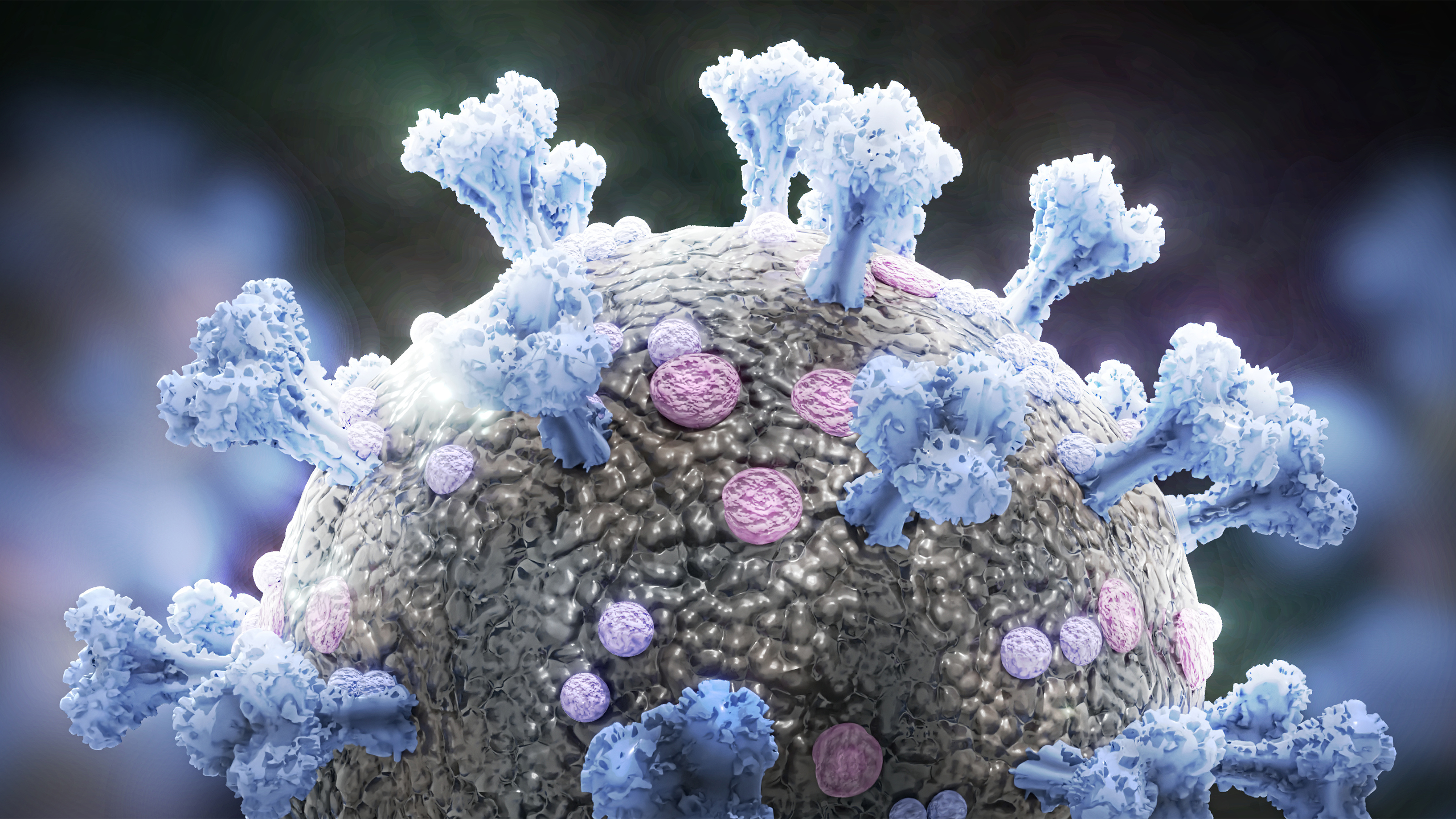 Coronavirus Antibody