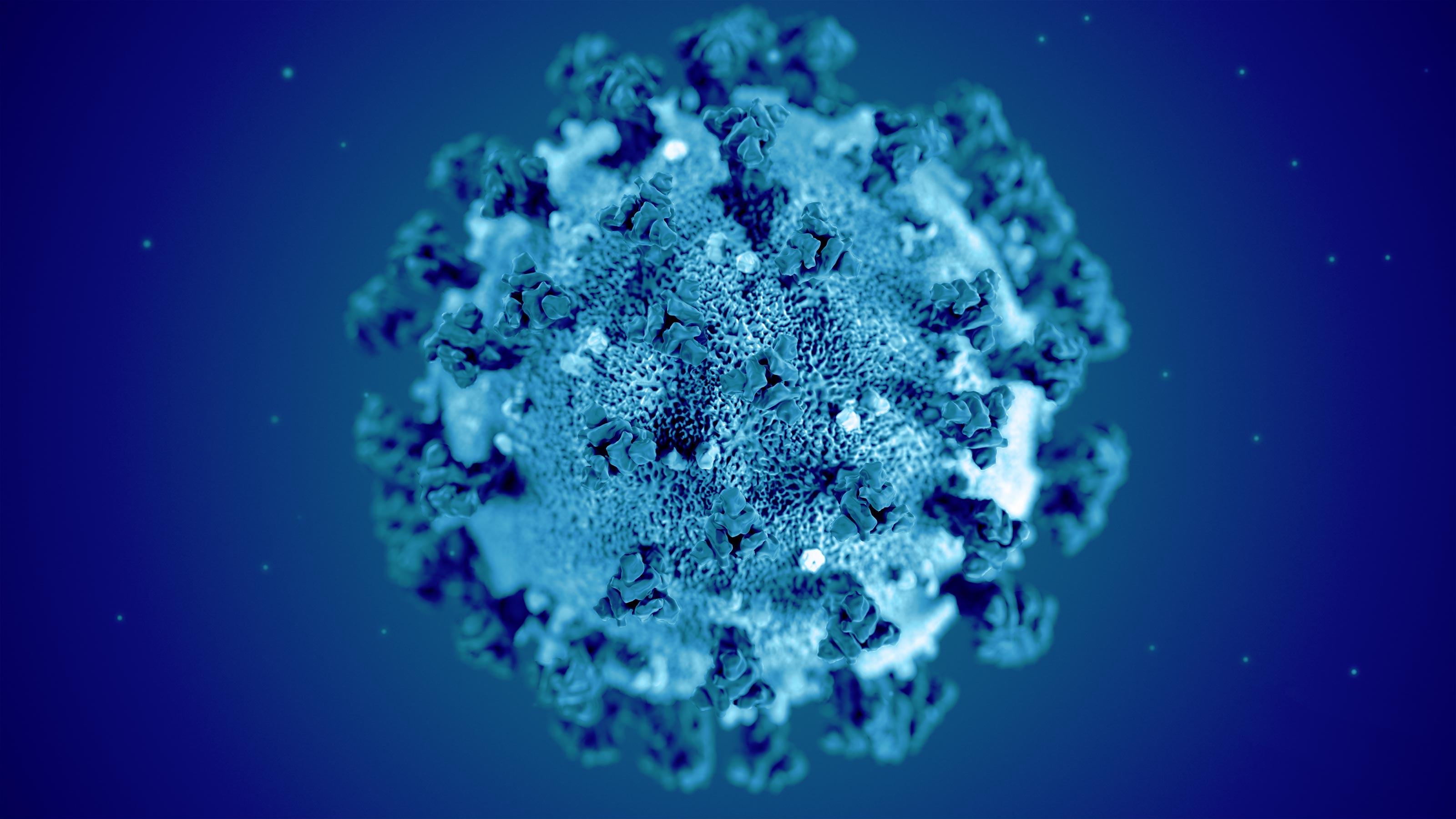 coronavirus news