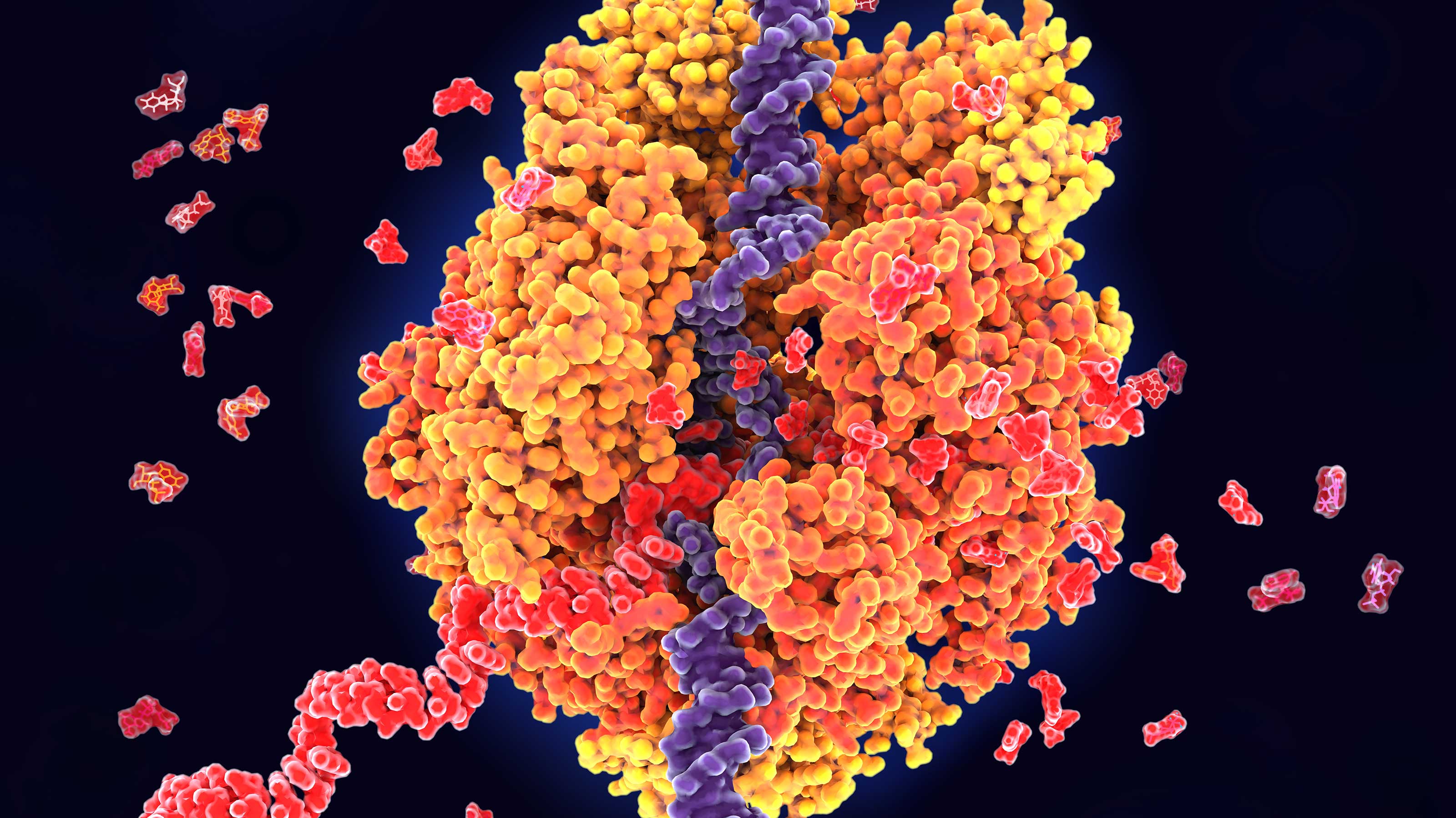 developing COVID-19 vaccines