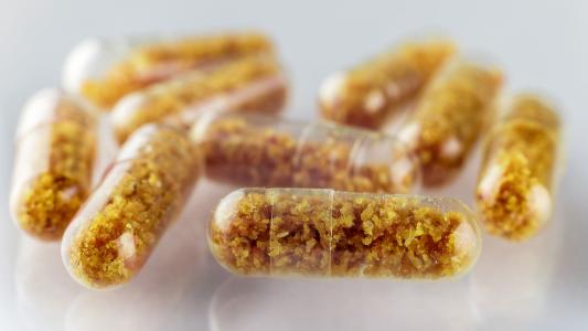 fecal transplants for cancer