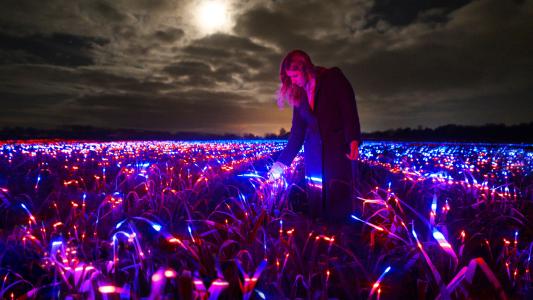 grow art light recipes