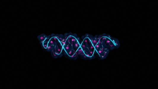 mrna vaccines