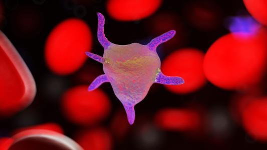 new cancer treatment Hot Blood Cells