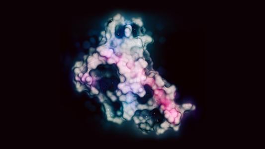 prion protein