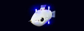 robotic fish