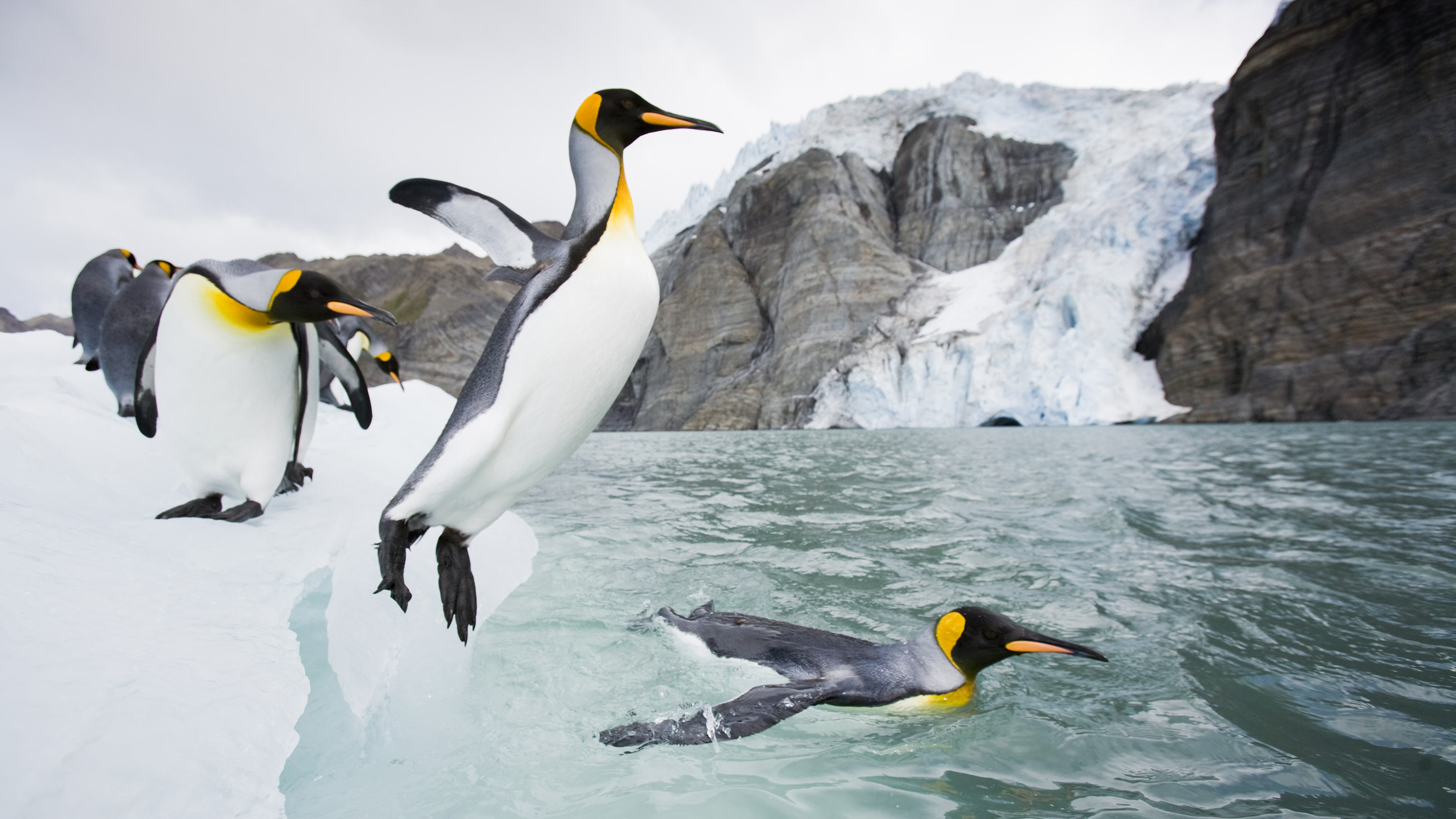 south georgia island