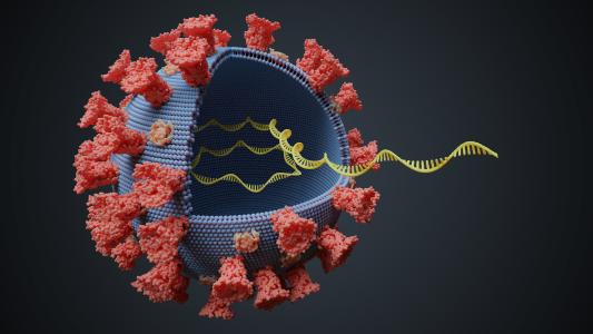 Varying Coronavirus Symptoms