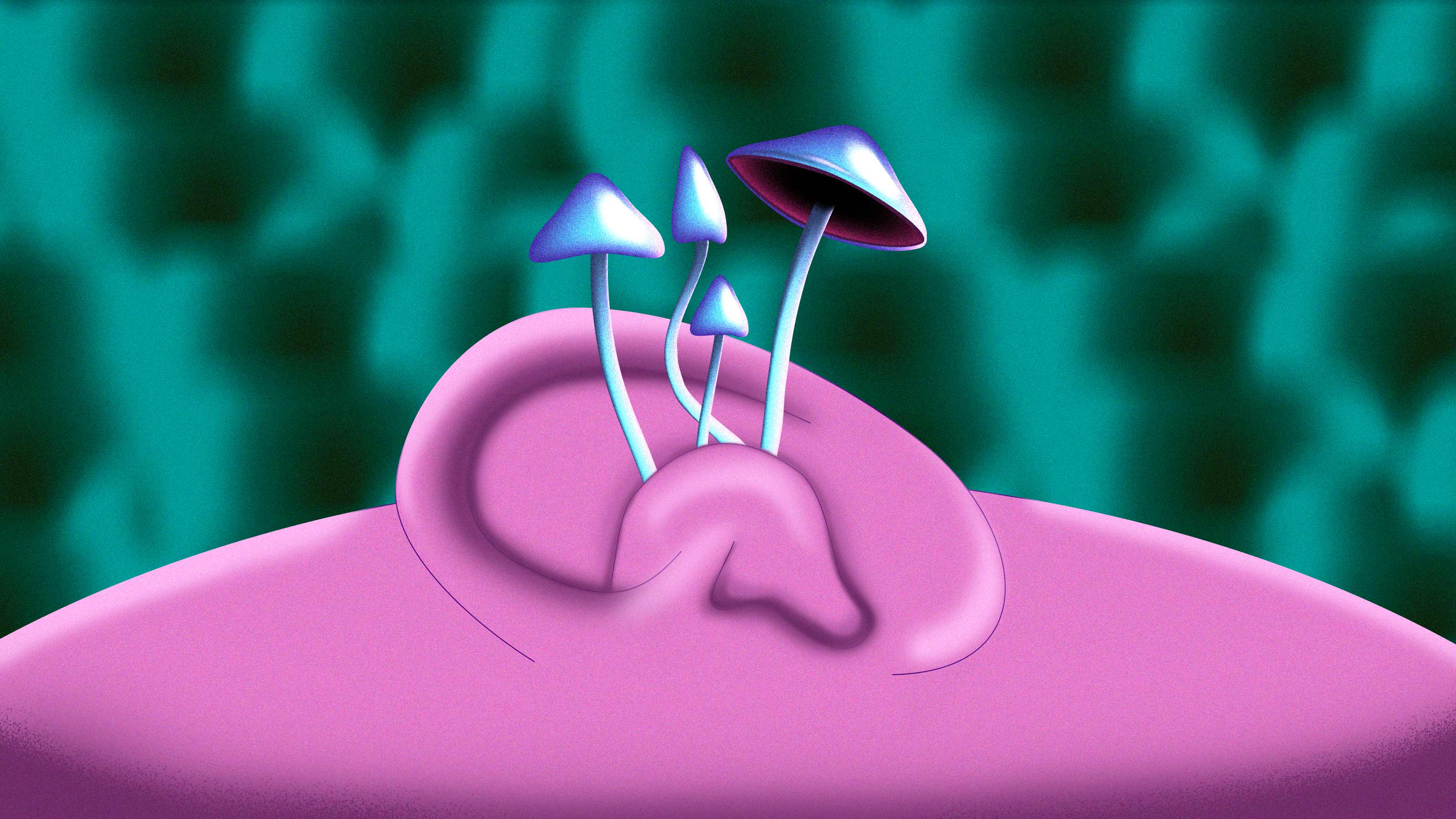 bad trip support line