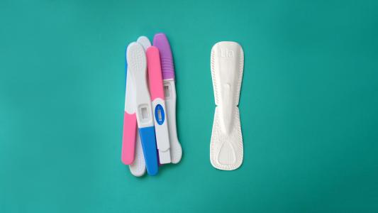 flushable biodegradable pregnancy test