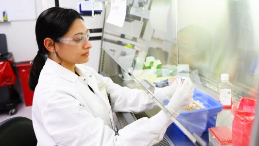 crispr therapy