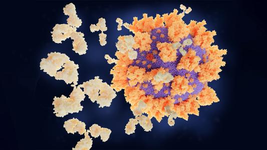 all strains of covid-19
