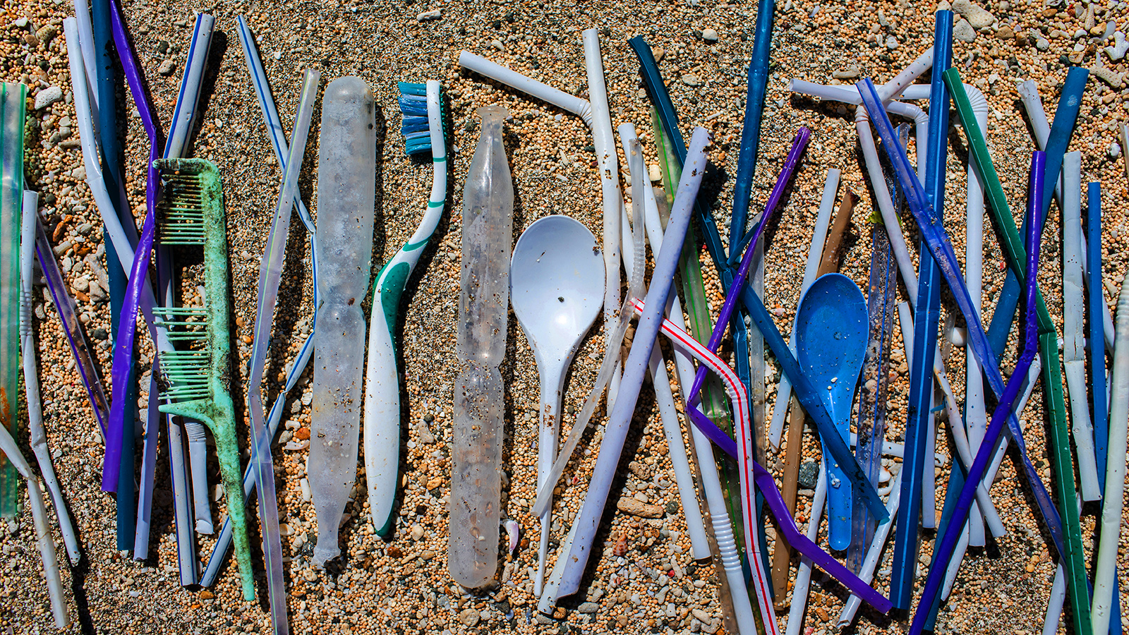 biodegradable straws