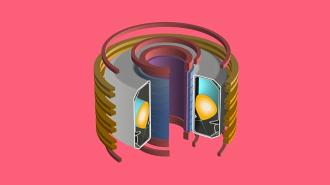 tokamak