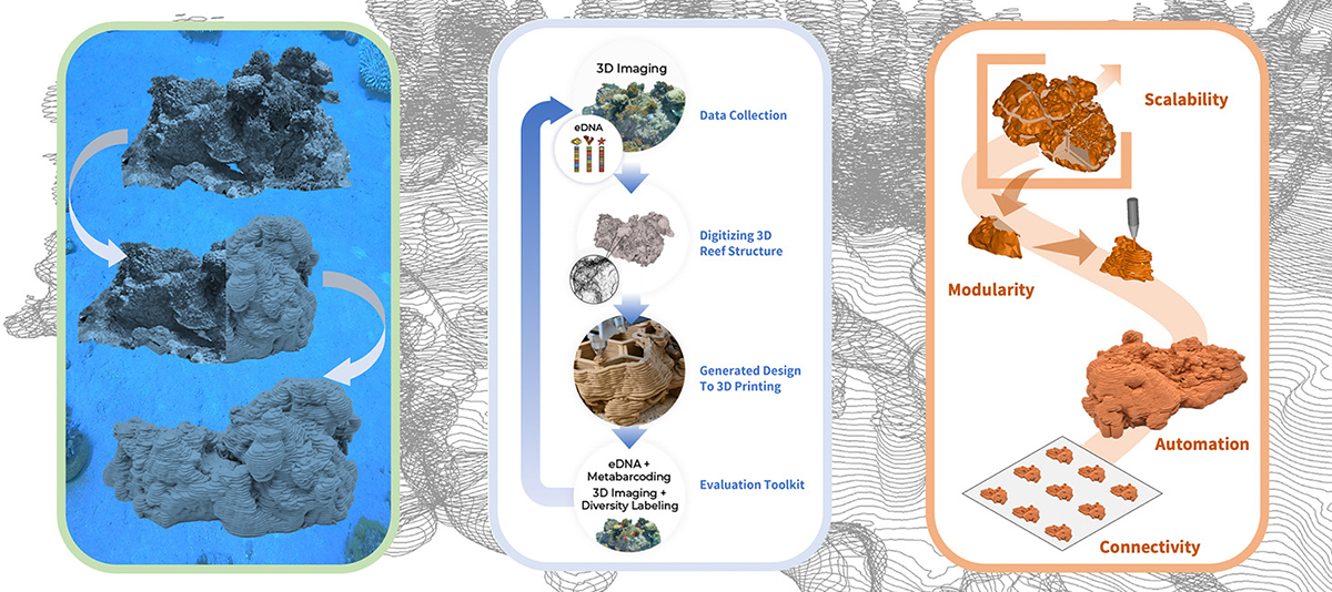 artificial coral reefs