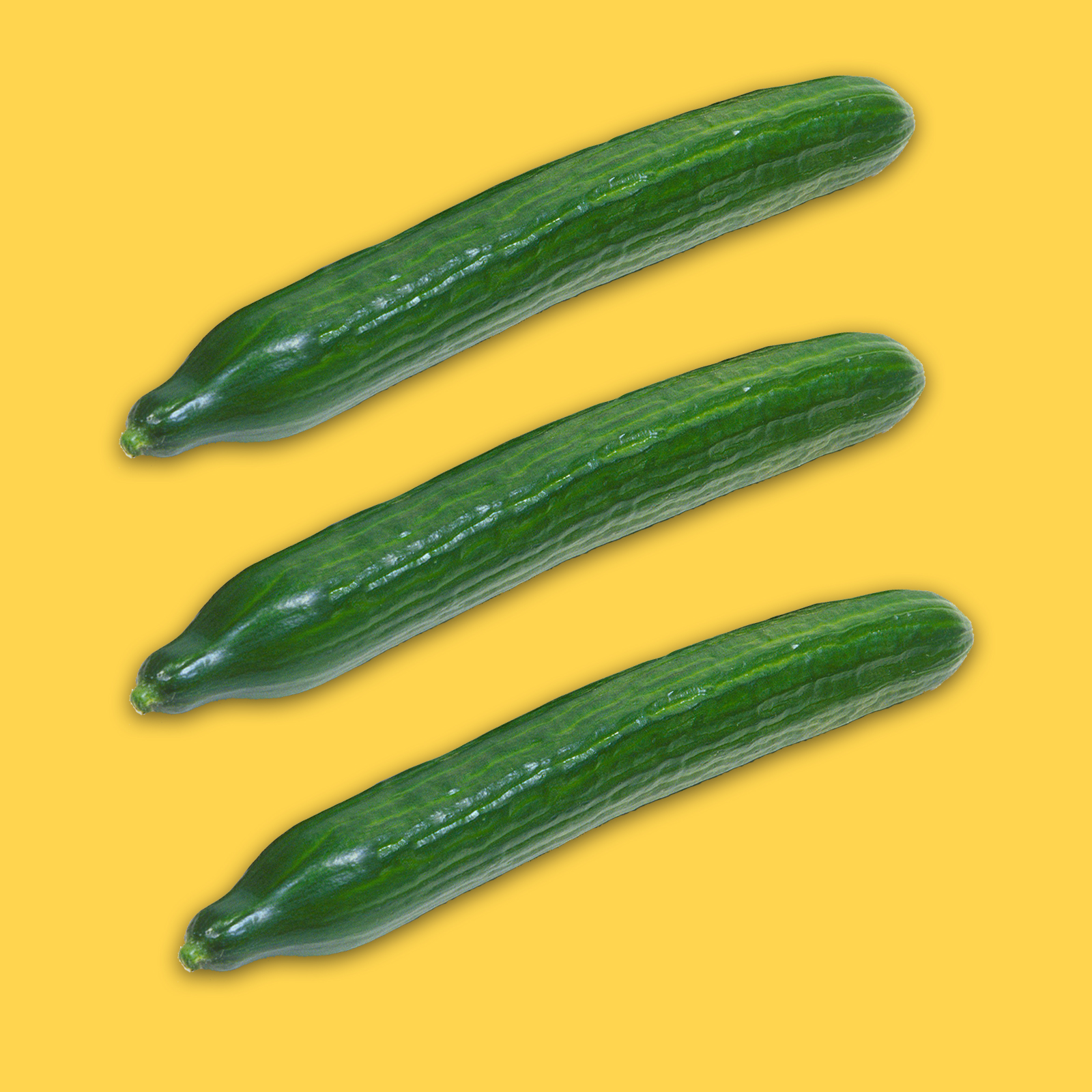 reduce plastic pollution