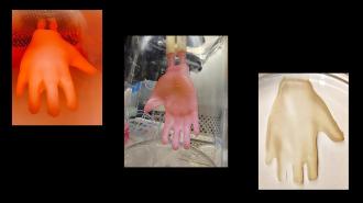 3D-printed skin in the shape of a hand