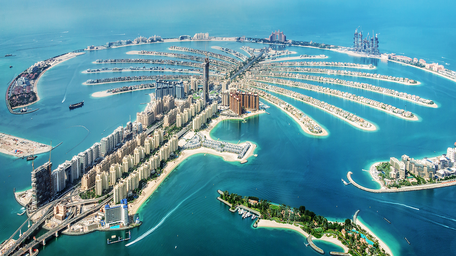 a large artificial island shaped like a palm tree off an urban coastline