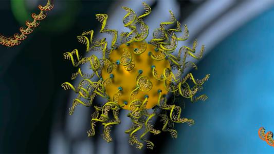 an illustration of a spherical nucleic acid