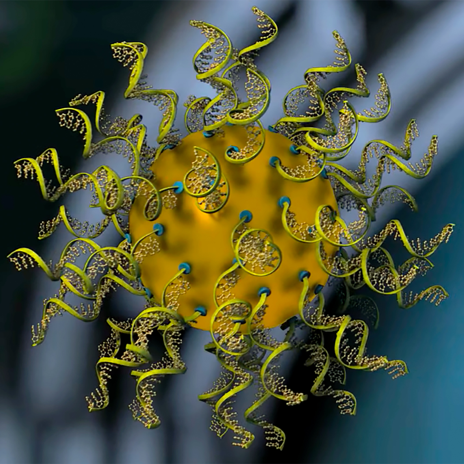 an illustration of a spherical nucleic acid