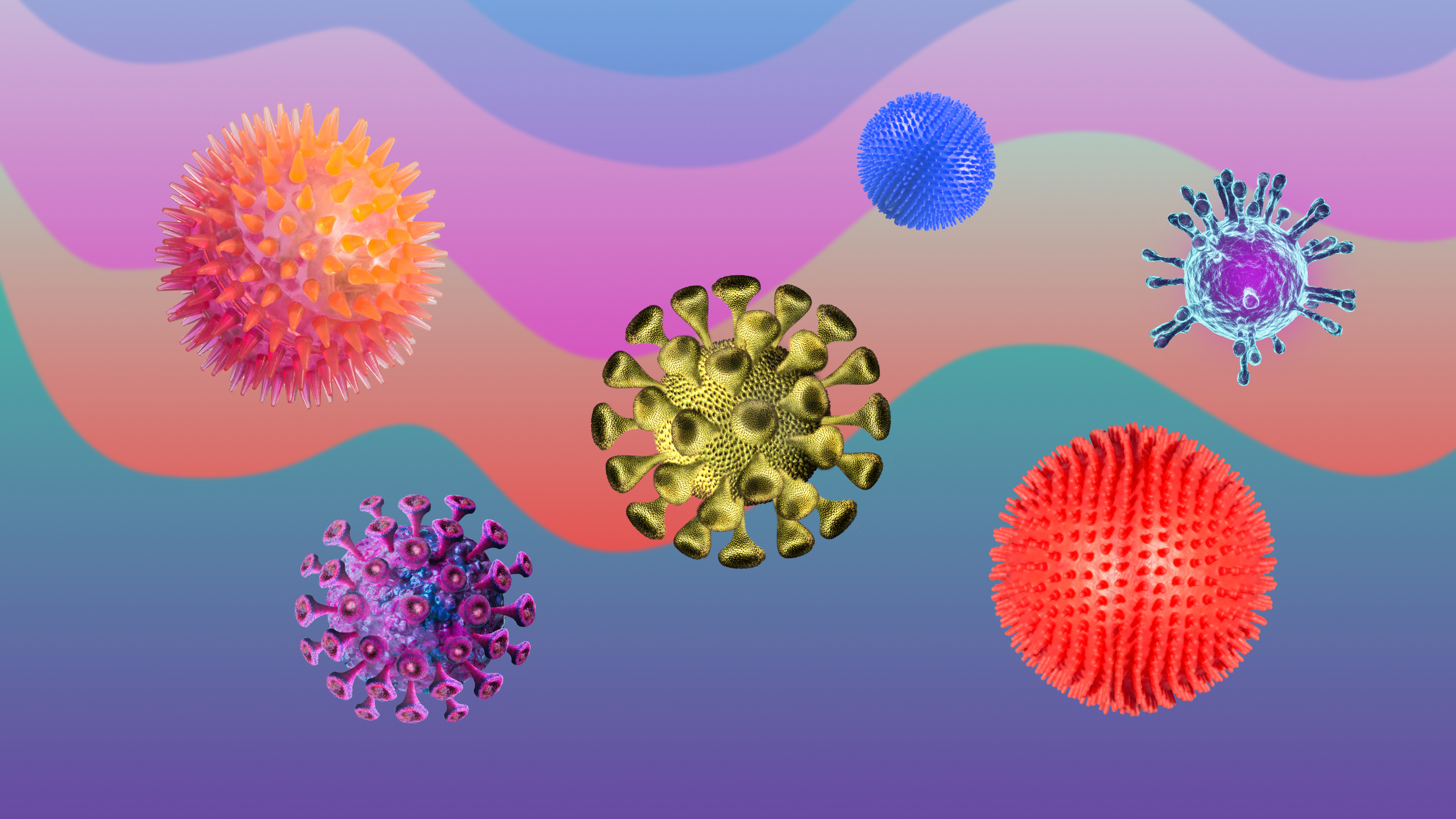 a collage of various viruses