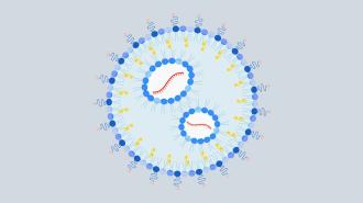 a diagram of the nanoparticle containing mrna