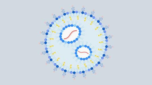 a diagram of the nanoparticle containing mrna