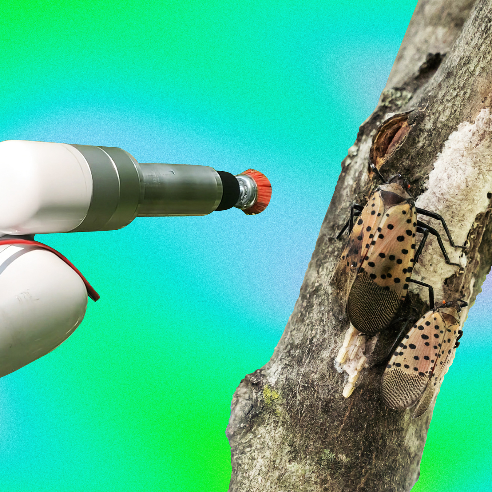 a robot arm and branch with lanternflies on it