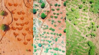 an overhead shot of land split in three. the left side is dry and dusty. the middle has some vegetation, and the right side has a lot.